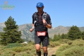 41 41