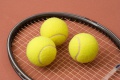 tennis tennis