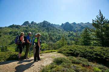 La-marche-attitude_a216.html