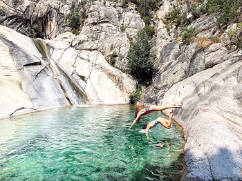 La-deconnexion-a-l-etat-brut_a175.html